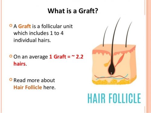 what is a hair graft