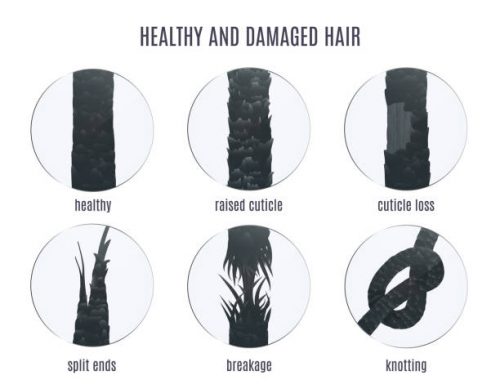 Hair shaft damage Lahore